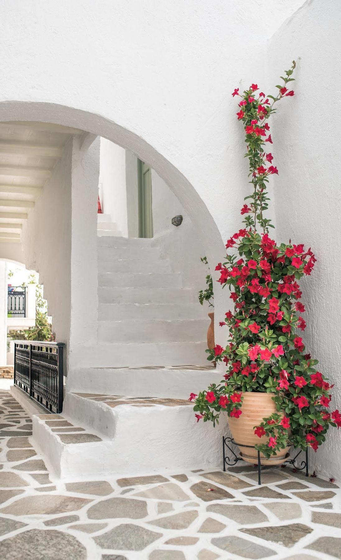 Nastasia Village Naxos City Εξωτερικό φωτογραφία